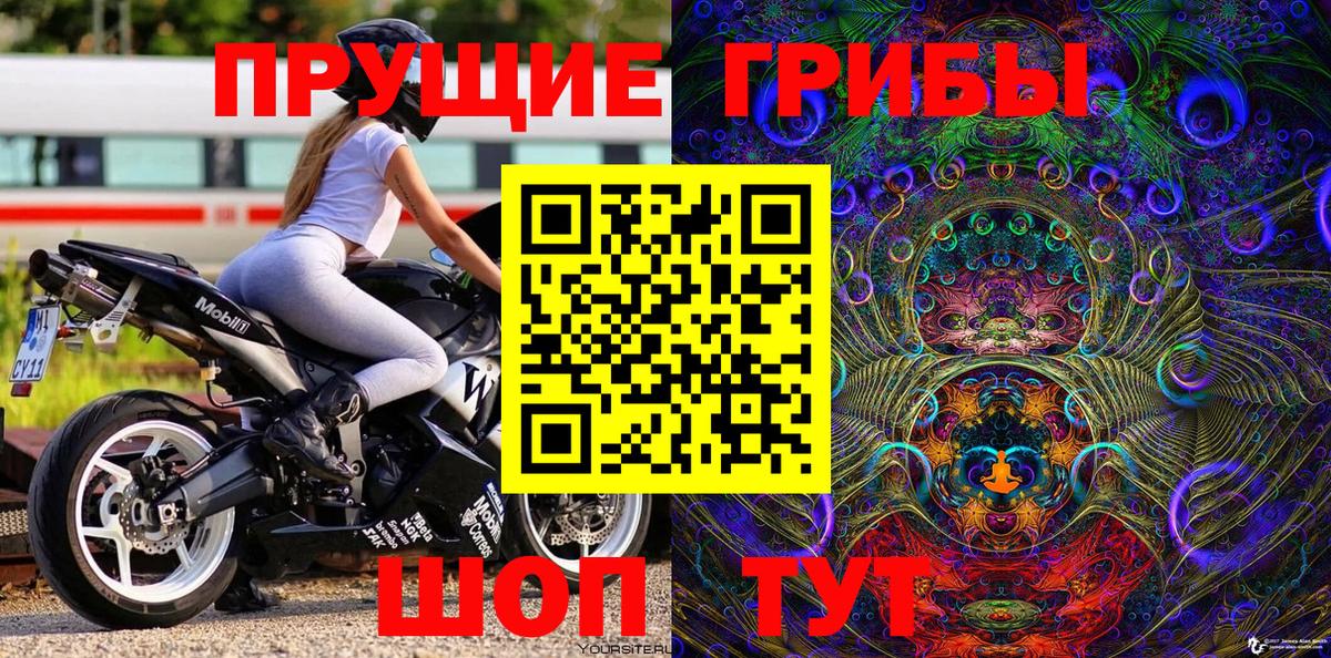 Чита  Галлюциногенные грибы мицелий  Вход с VPN  Псилоцибиновые грибы Psilocybe 