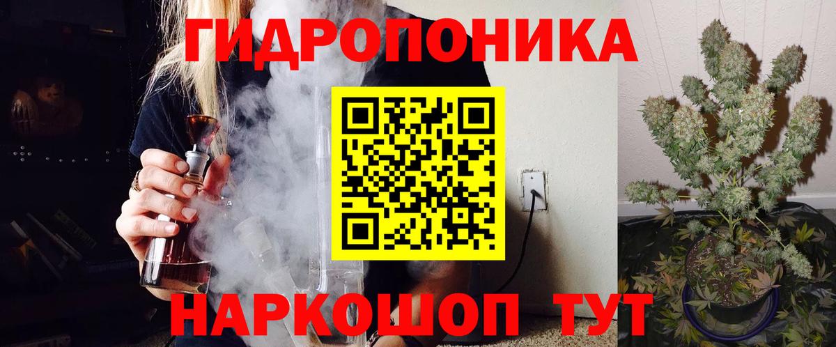 Бошки Шишки MAZAR Чита